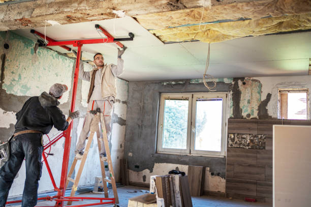 Best Insulation Replacement Services  in Camdenton, MO