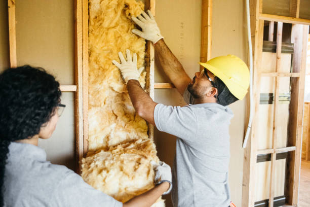Best Affordable Insulation Services  in Camdenton, MO