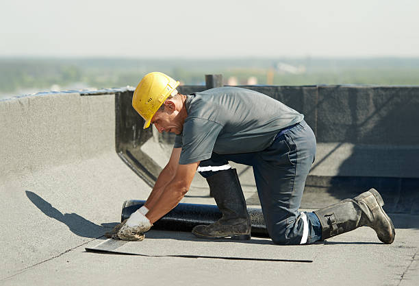 Best Best Insulation Companies  in Camdenton, MO